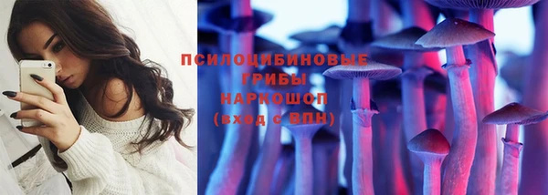 не бодяженный Арсеньев