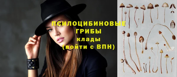 не бодяженный Арсеньев