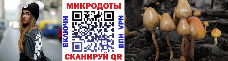 Галлюциногенные грибы Cubensis  Купить закладки  Ржев 