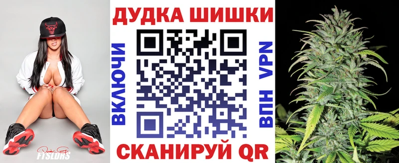 Бошки Шишки планчик Ржев